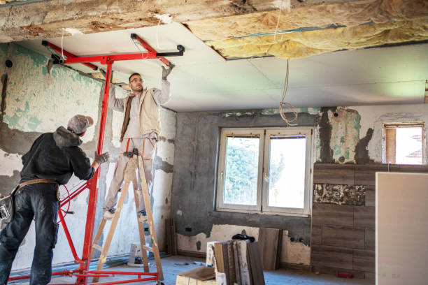 Best Insulation Contractor Near Me  in Norfolk, VA