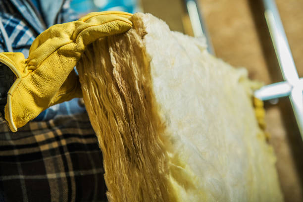 Best Insulation Contractor Near Me  in Norfolk, VA