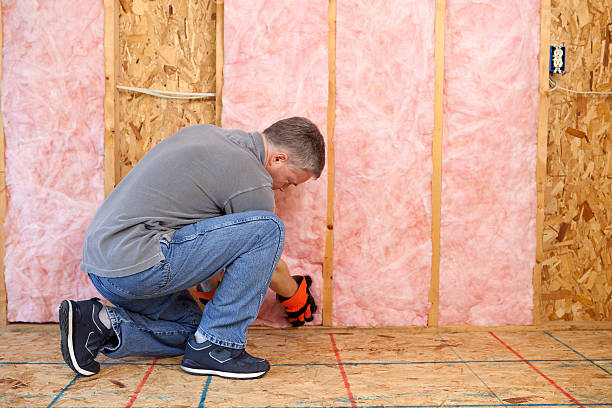 Best Soundproof Insulation Installation  in Norfolk, VA